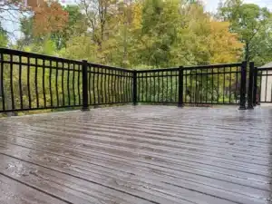 A sleek Trex composite deck with wood-textured brown planks and a modern black metal railing, set against a lush green forest backdrop.